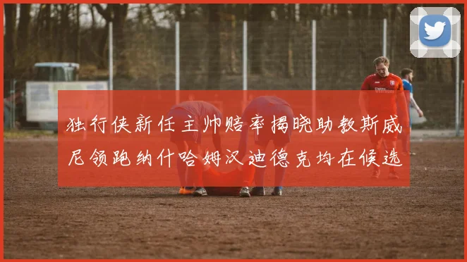 独行侠新任主帅赔率揭晓助教斯威尼领跑纳什哈姆汉迪德克均在候选之中